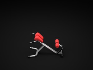 lower back 3D Model