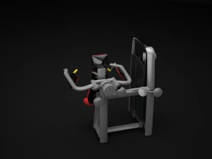 delts 3D Model