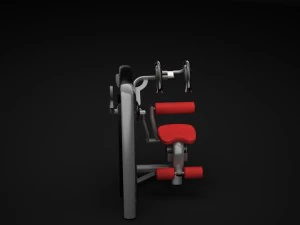 загальний черевний 3D Модель