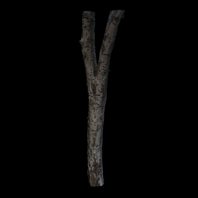 tree 3D Модель .c4d .max .obj .3ds .fbx .stl .blend 