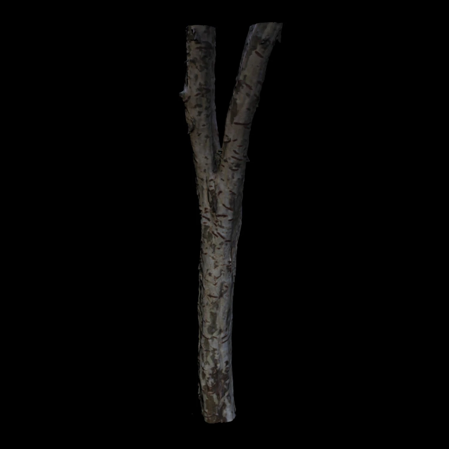 tree 3D Model .c4d .max .obj .3ds .fbx .stl .blend 