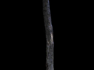 tree 3D Model