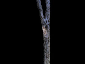 tree 3D Model