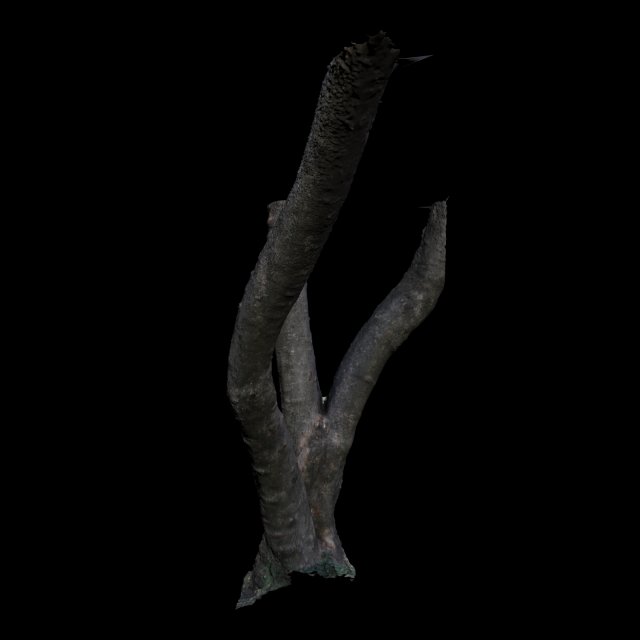 tree 3D Modell .c4d .max .obj .3ds .fbx .stl .blend 