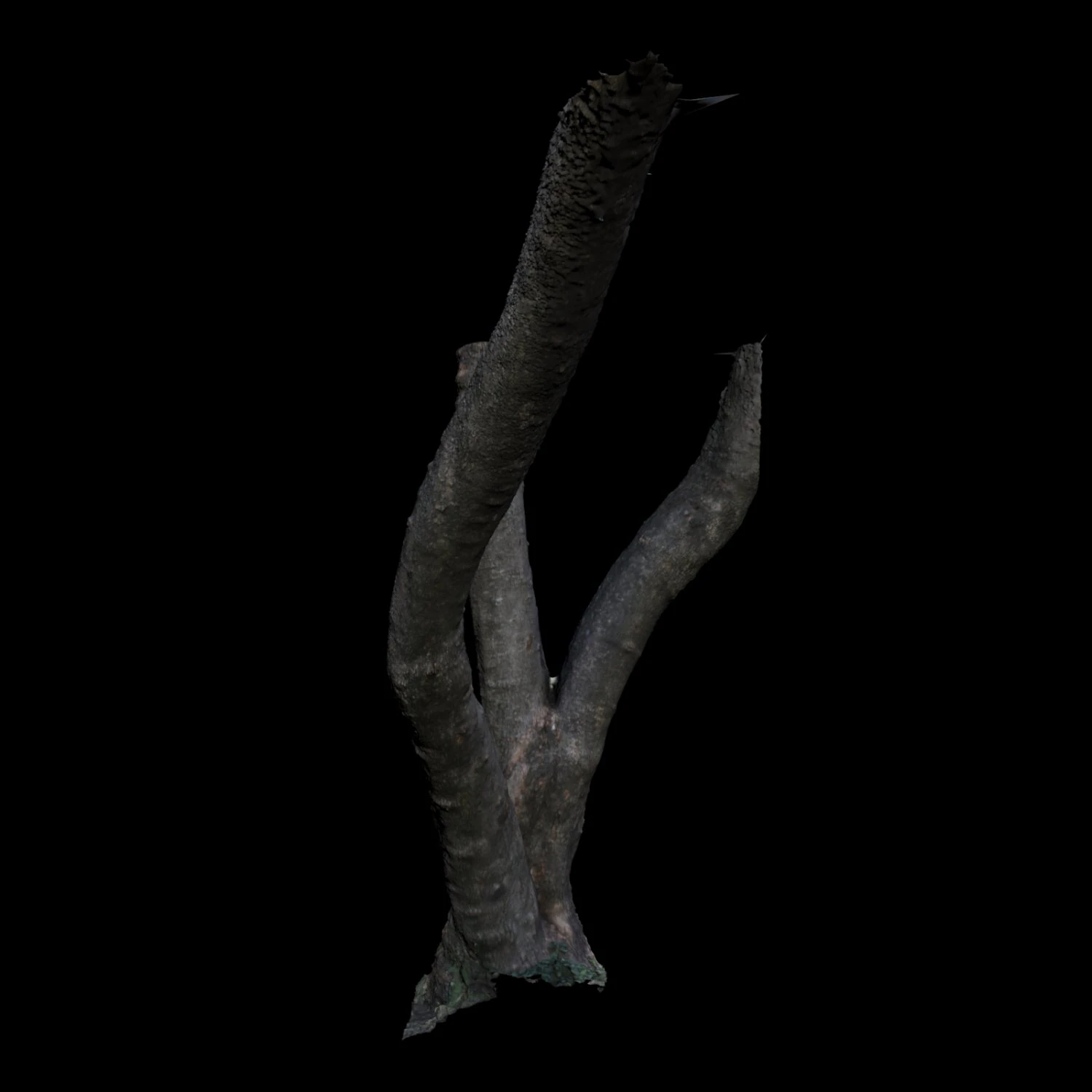 tree 3D Model .c4d .max .obj .3ds .fbx .stl .blend 