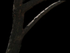 tree 3D Model