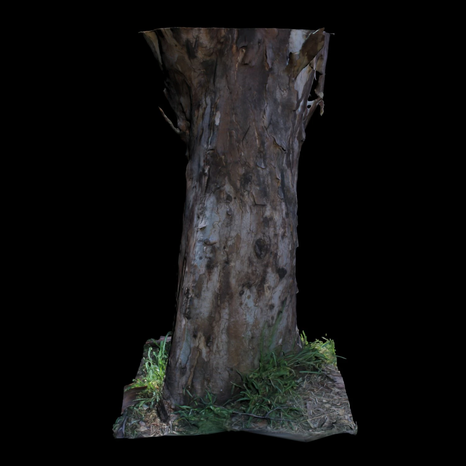 tree 3D Model .c4d .max .obj .3ds .fbx .stl .blend 