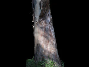 tree 3D Model