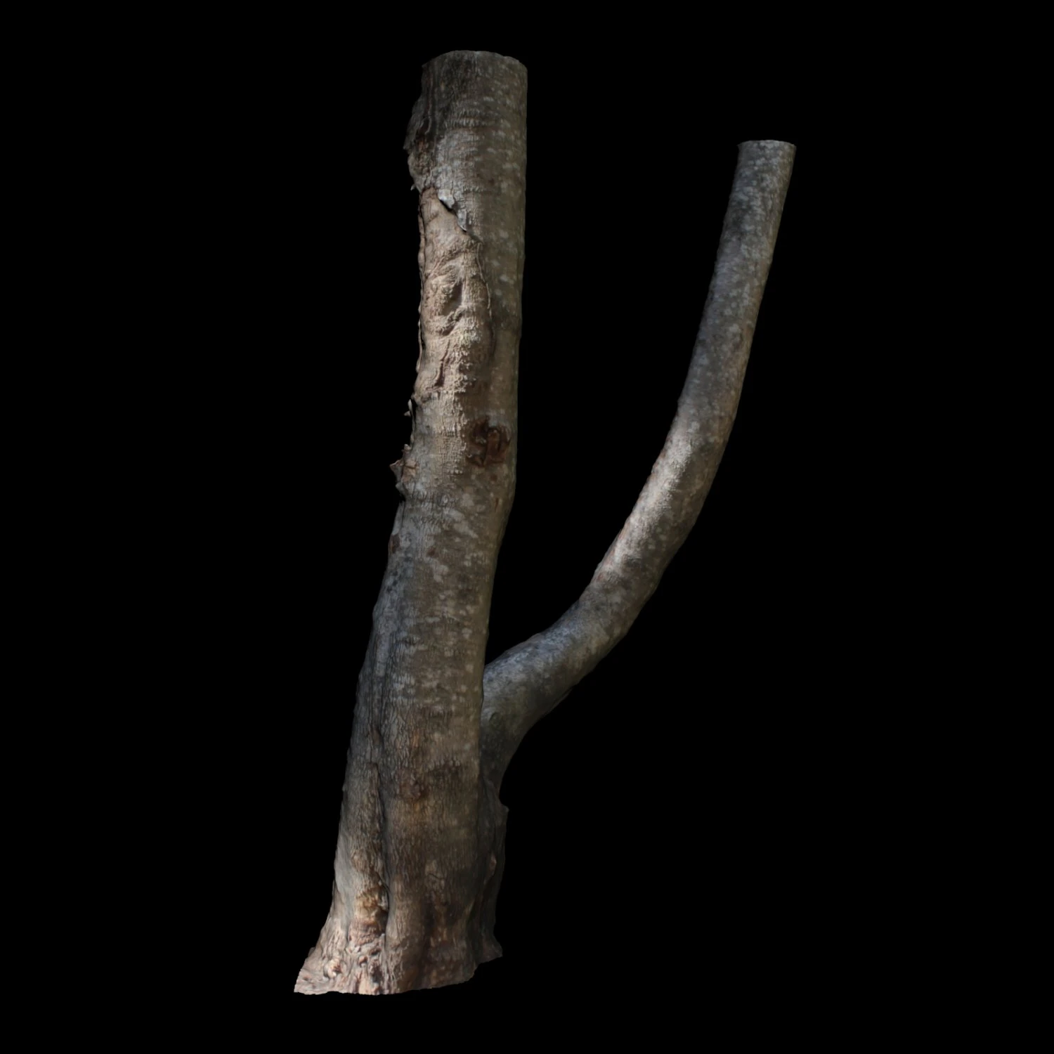 tree 3D Model .c4d .max .obj .3ds .fbx .stl .blend 