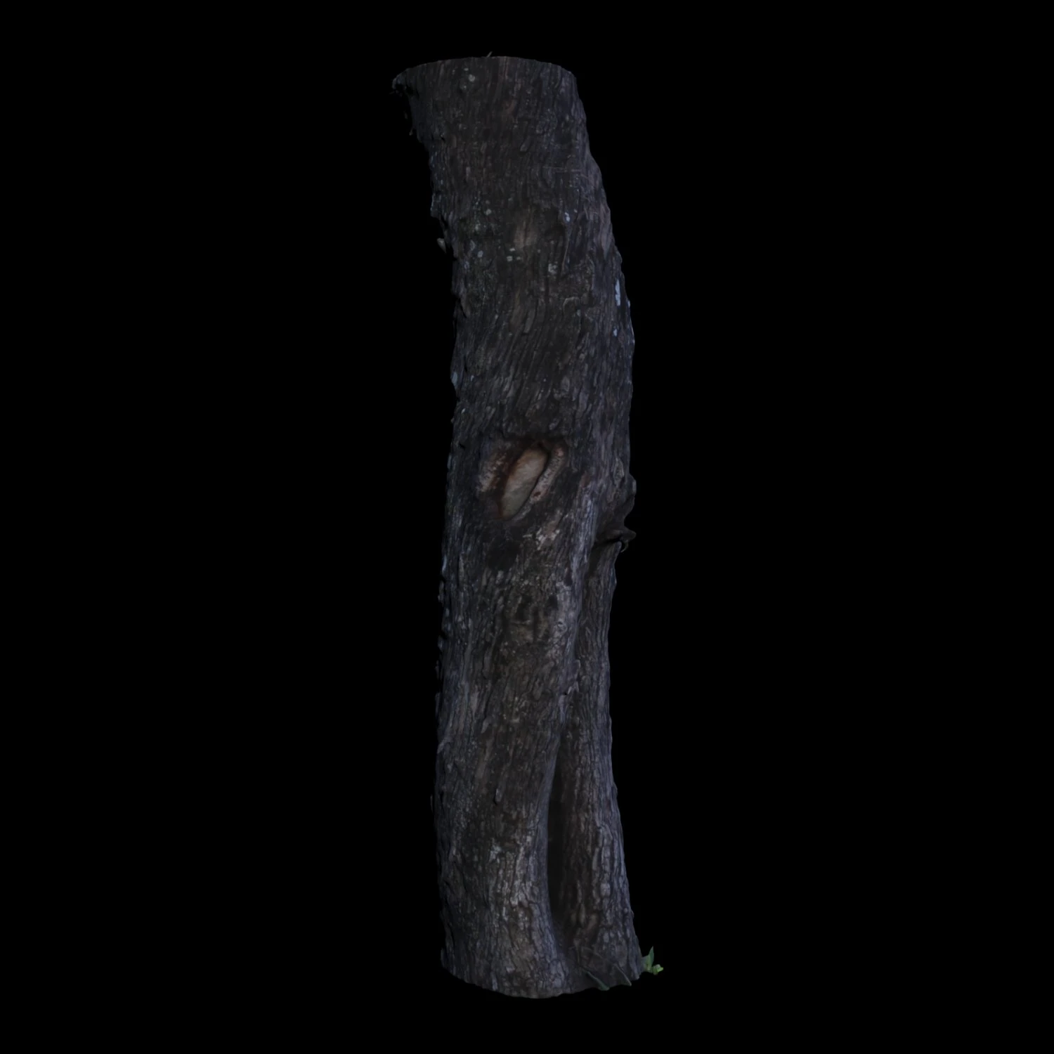 tree 3D Model .c4d .max .obj .3ds .fbx .stl .blend 