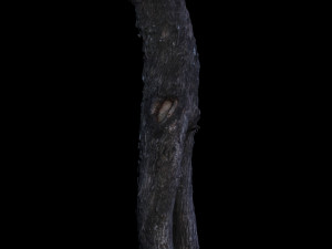 tree Modelo 3D