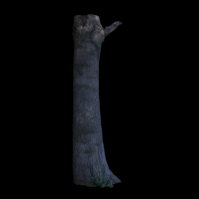 tree 3D Model .c4d .max .obj .3ds .fbx .stl .blend 
