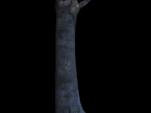 tree 3D 모델