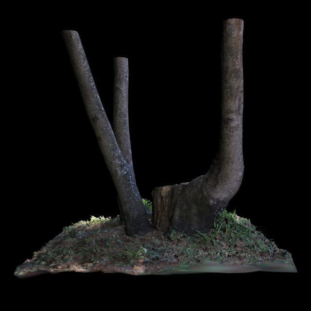 tree 3D Модель .c4d .max .obj .3ds .fbx .stl .blend 