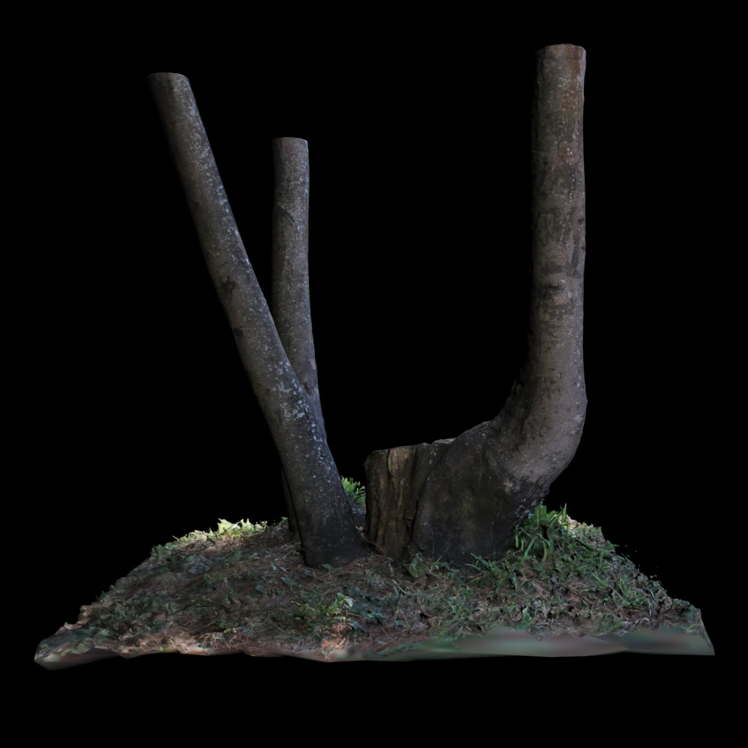 tree 3D Model .c4d .max .obj .3ds .fbx .stl .blend 