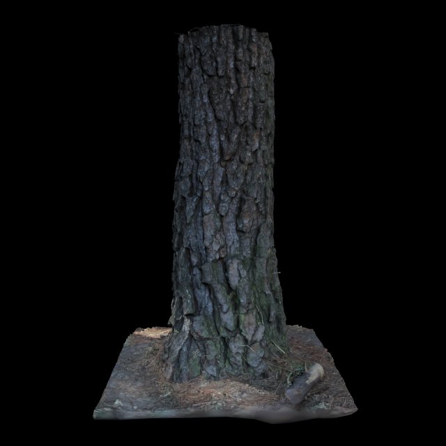 tree 3D Model .c4d .max .obj .3ds .fbx .stl .blend 