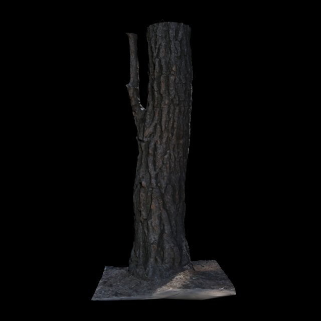 tree Model 3D .c4d .max .obj .3ds .fbx .stl .blend 