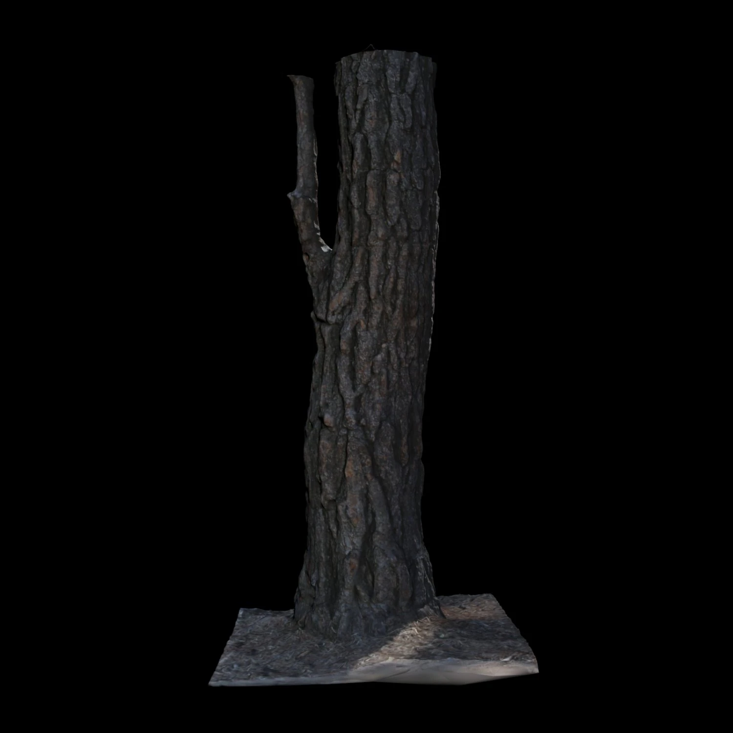 tree 3D Model .c4d .max .obj .3ds .fbx .stl .blend 