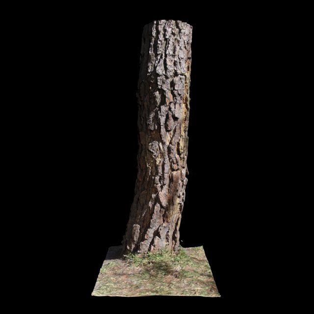 tree 3D Модель .c4d .max .obj .3ds .fbx .stl .blend 