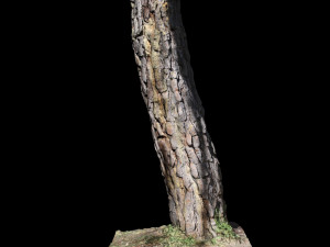 tree 3D Модель