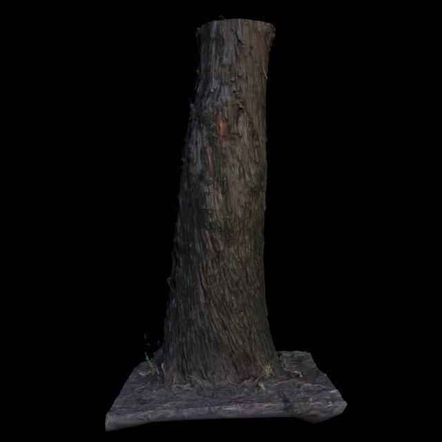 tree Modelo 3D .c4d .max .obj .3ds .fbx .stl .blend 