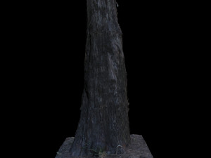 tree Modelo 3D