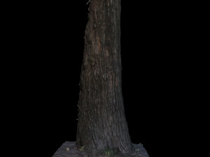 tree Modelo 3D