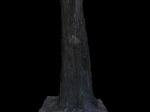 tree Modelo 3D