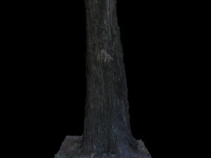 tree 3D Model