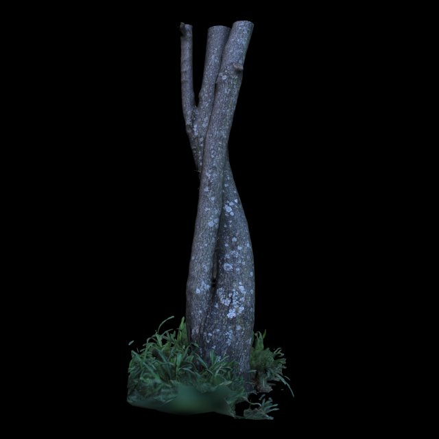 tree 3D 模型 .c4d .max .obj .3ds .fbx .stl .blend 