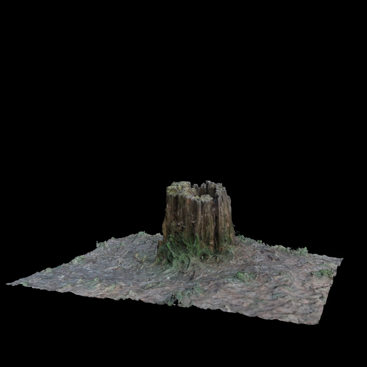 trunk 3D Model .c4d .max .obj .3ds .fbx .stl .blend 