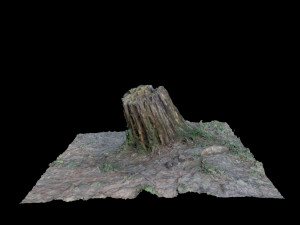 trunk 3Dモデル