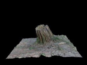 trunk 3D Model