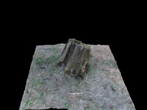 trunk 3Dモデル