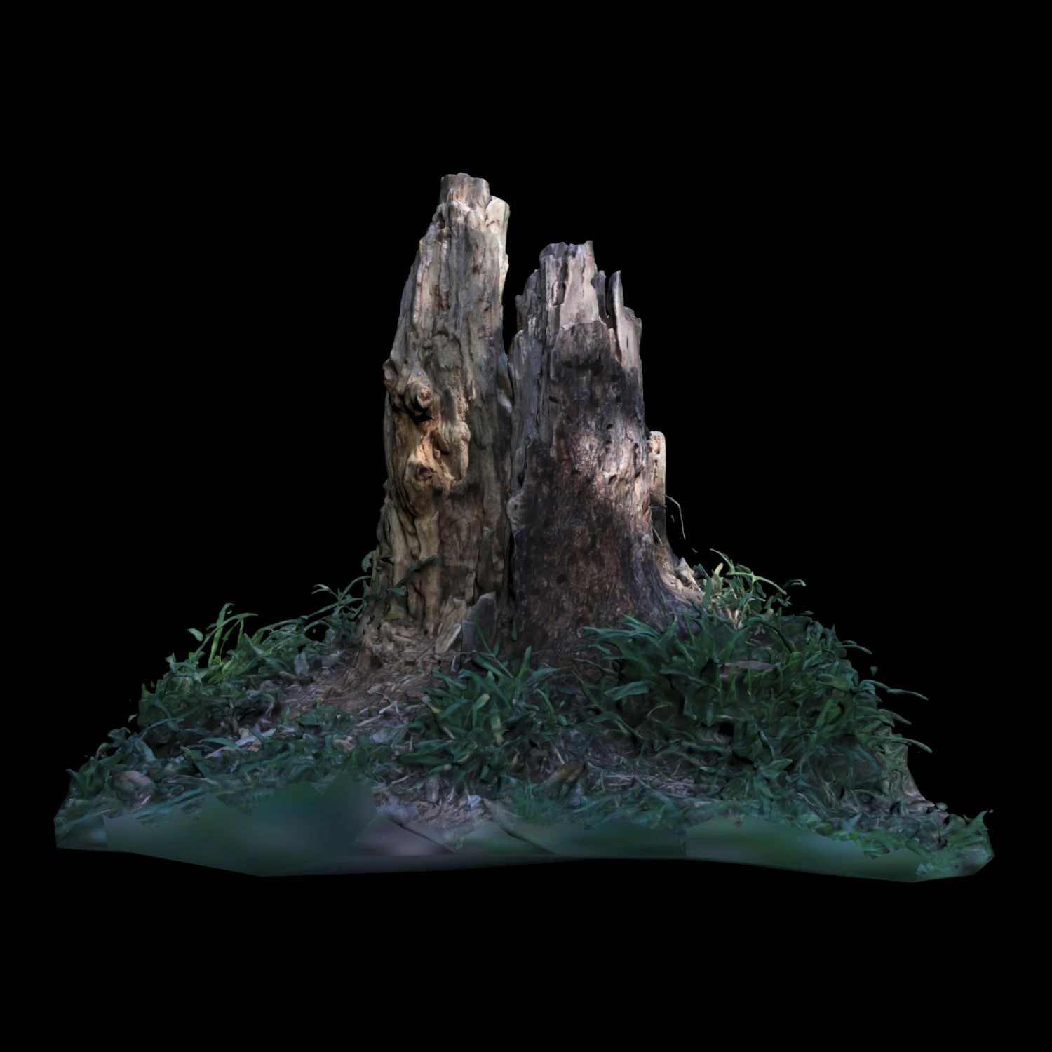 trunk 3D Model .c4d .max .obj .3ds .fbx .stl .blend 