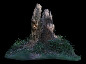 trunk 3D-Modell