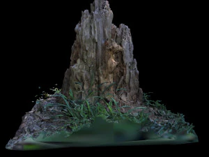 trunk 3D Model
