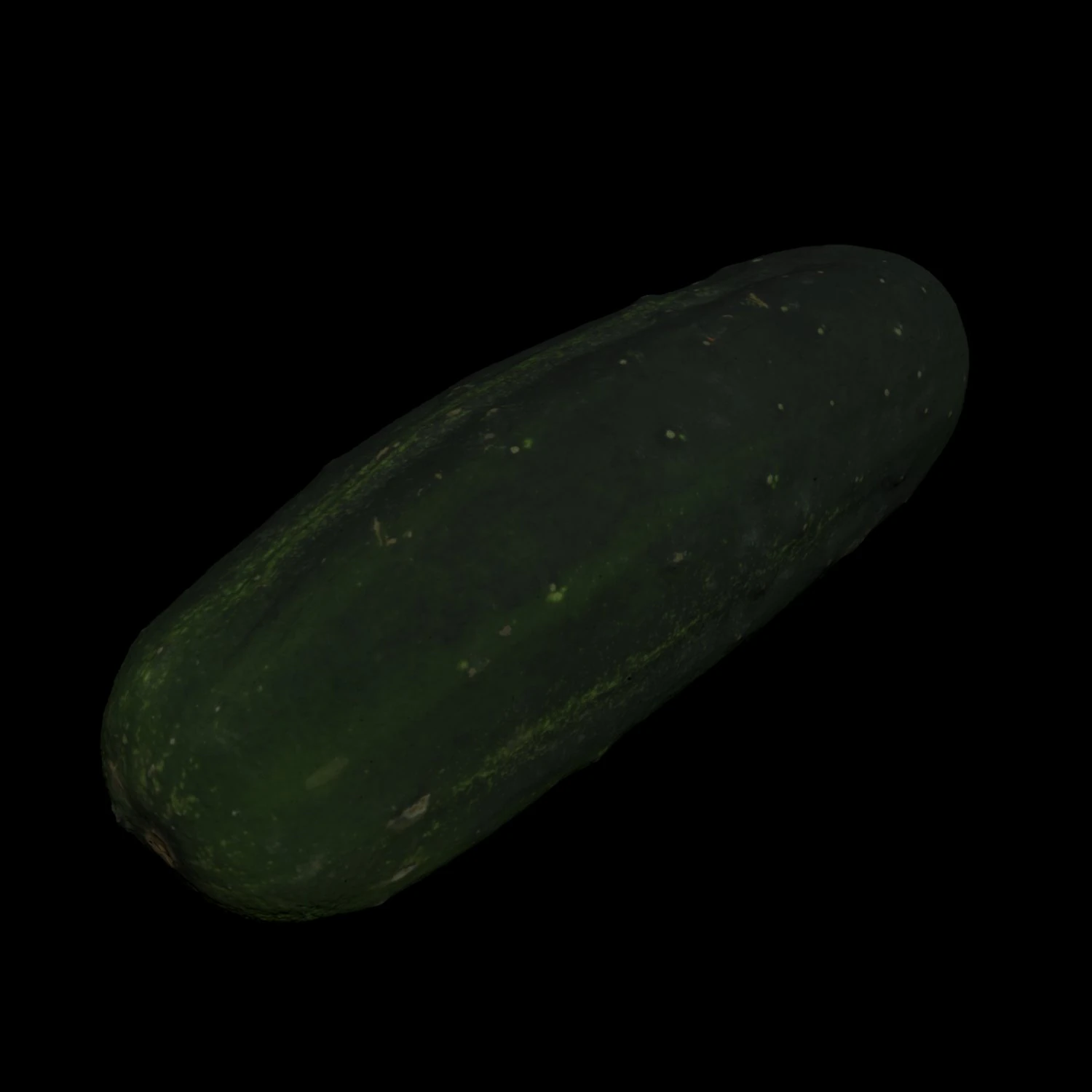 cucumber 3D Model .c4d .max .obj .3ds .fbx .stl .blend 