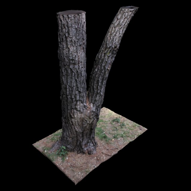 tree Modelo 3D .c4d .max .obj .3ds .fbx .stl .blend 