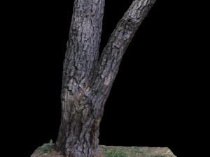 tree Modelo 3D