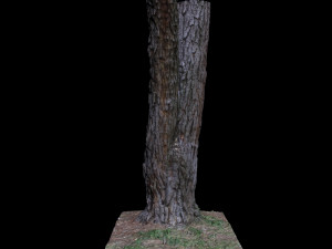 tree Modelo 3D