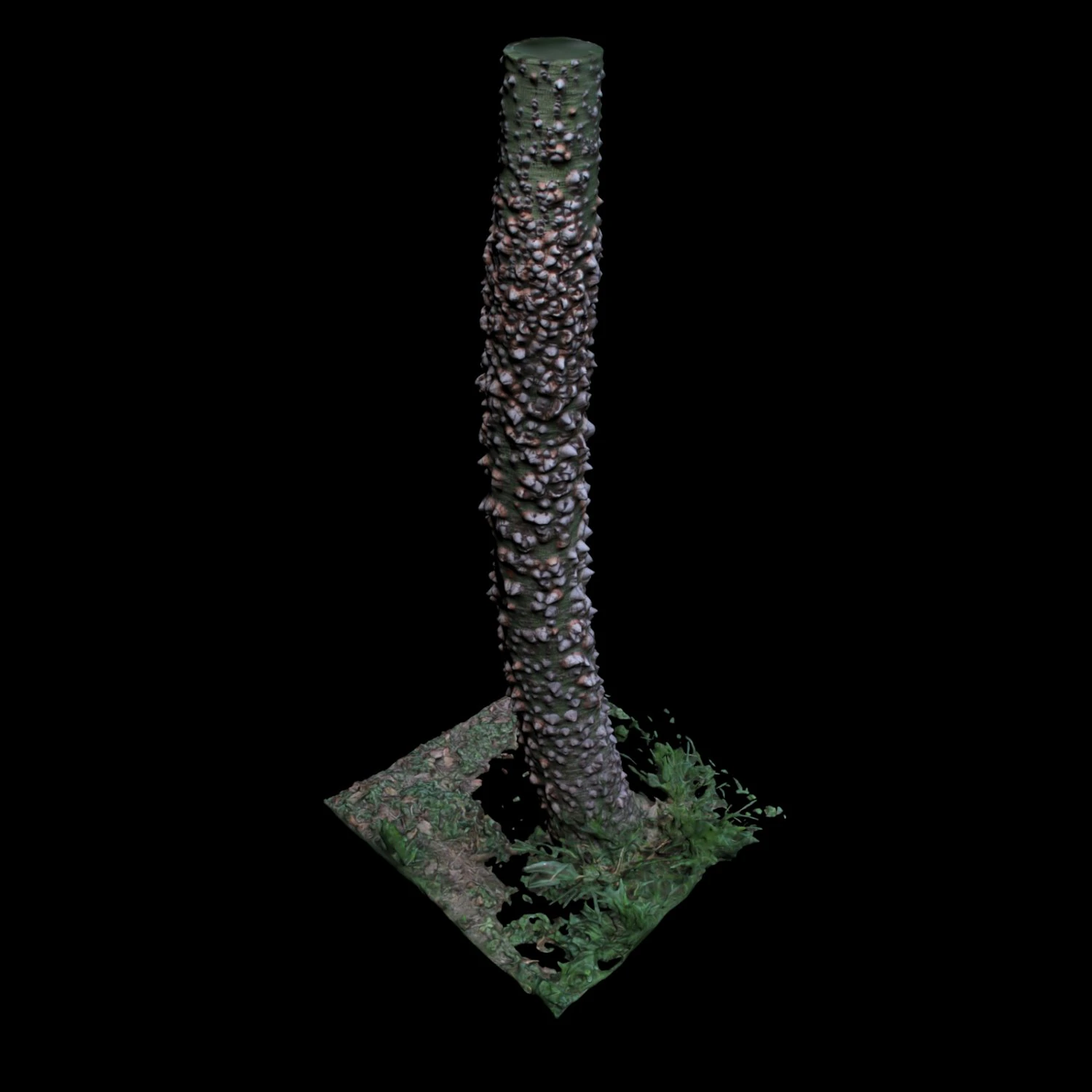 tree 3D Model .c4d .max .obj .3ds .fbx .stl .blend