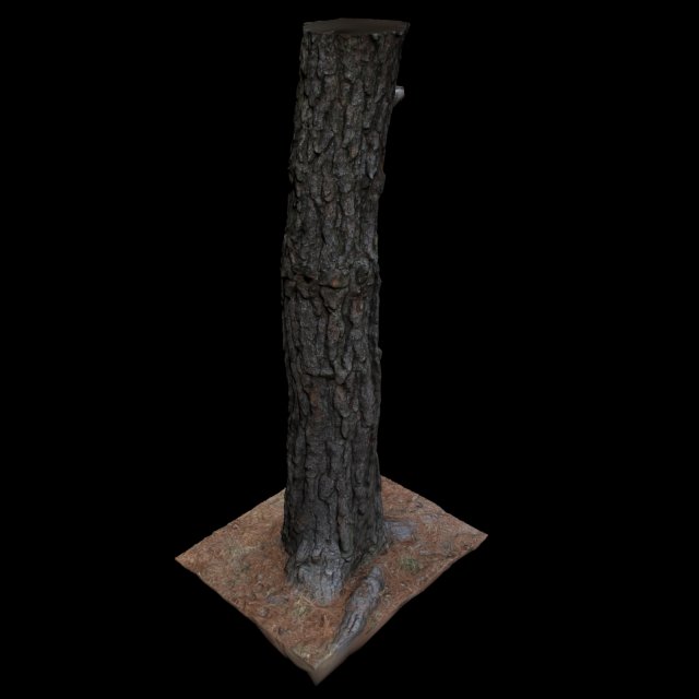 tree 3D 模型 .c4d .max .obj .3ds .fbx .stl .blend 