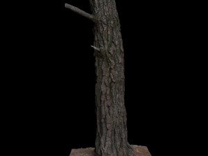 tree 3D 模型