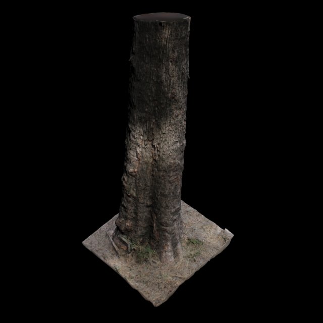 tree Model 3D .c4d .max .obj .3ds .fbx .stl .blend 