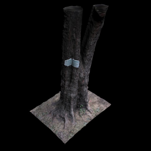 tree Modelo 3D .c4d .max .obj .3ds .fbx .stl .blend 