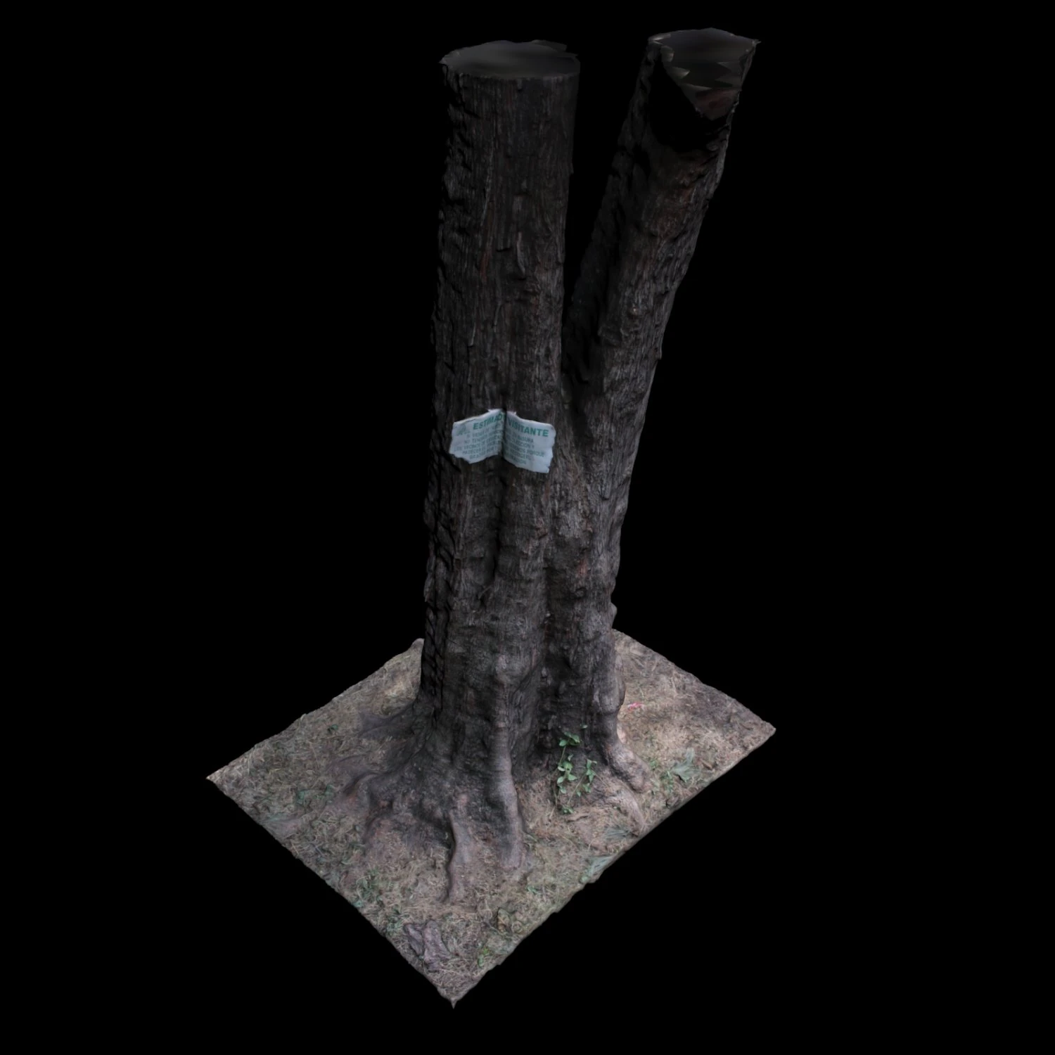 tree 3D Model .c4d .max .obj .3ds .fbx .stl .blend 