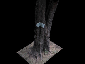 tree Modelo 3D