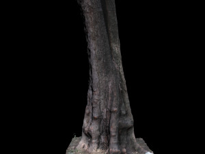 tree Modelo 3D