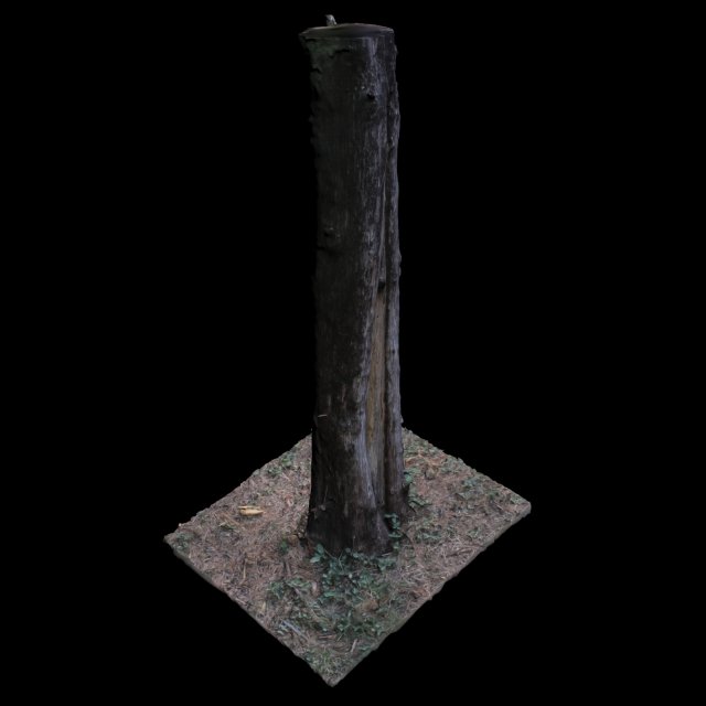 tree 3D Model .c4d .max .obj .3ds .fbx .stl .blend 
